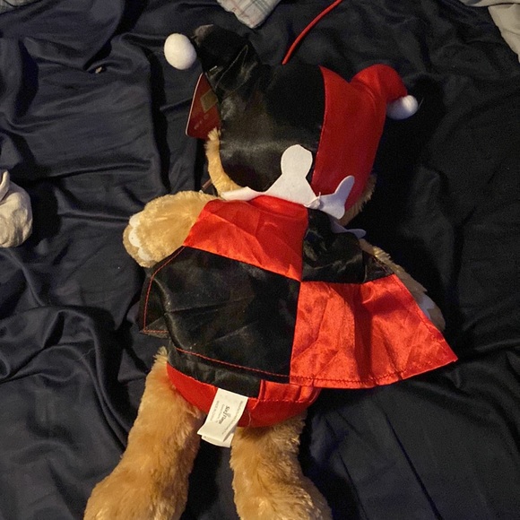 A little Harley Quinn bear I won at six flags - Picture 2 of 2